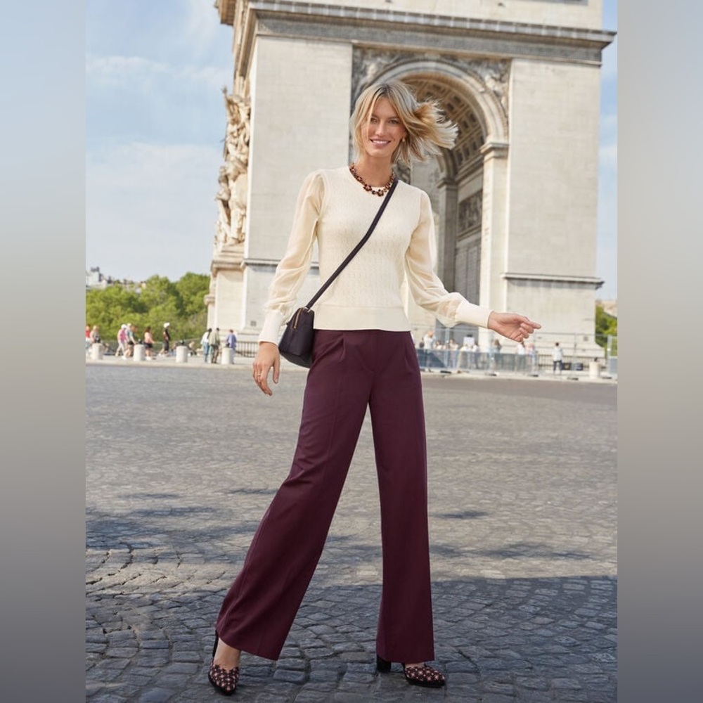 Talbots Chic High Rise Weston Wide Leg Pleated Pants Purple Size 10P